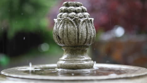 A--bird-bath-gets-rained-on