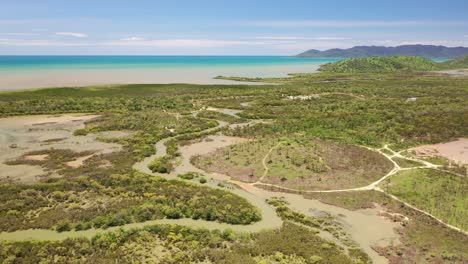 overflight of tropical mangrove with island in background