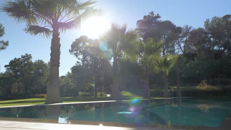 low slow dolly revealing palm trees as decoration besides a private pool at a villa