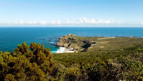 native fynbos from cape floral kingdom on cape point coast; diaz beach view