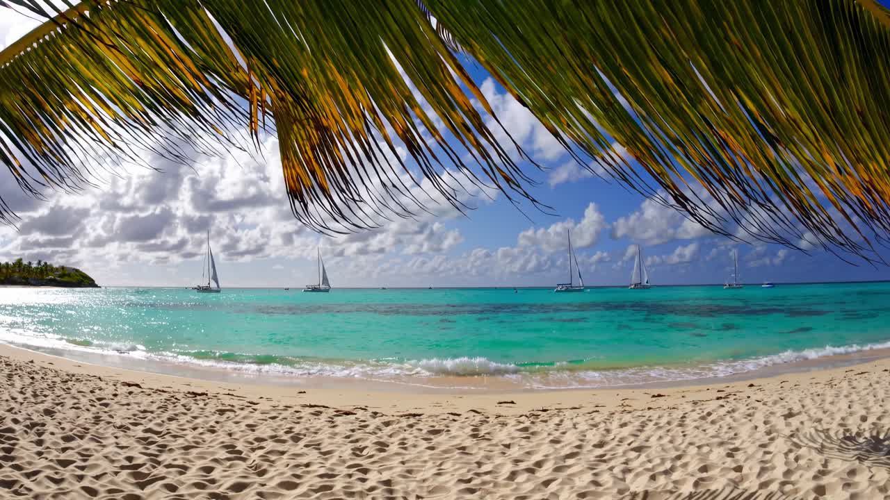 Ripresa video grandangolare di una spiaggia tropicale con barche a vela su acqua turchese, incorniciata da foglie di palma.