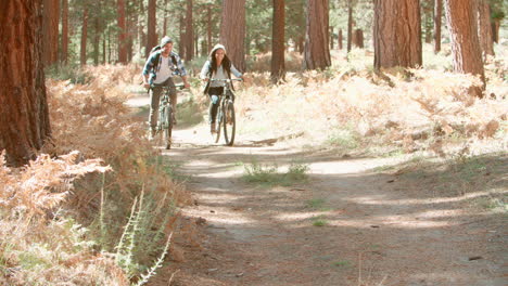 una pareja sonriente en bicicleta a través de un bosque juntos, de cerca