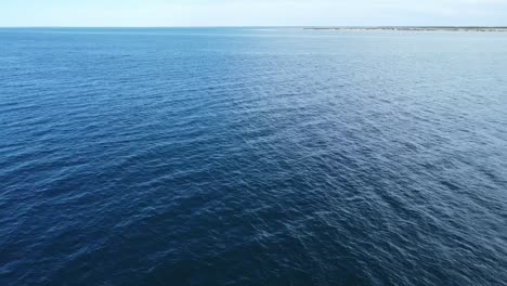 Tour-De-Avistamiento-De-Ballenas-En-Barco,-Baja-California-En-México.