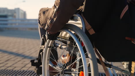 persona en silla de ruedas al aire libre