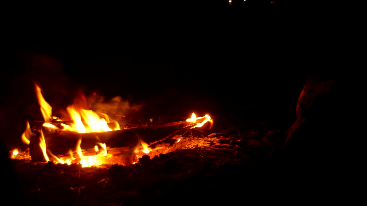 fuego de campamento en la noche