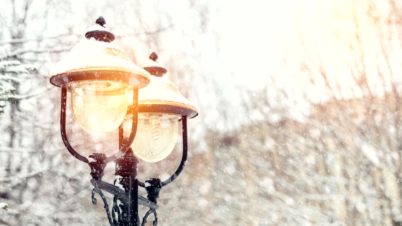 아름다운 겨울 축하 카드 나무 개 눈, 거리 조명 및 느린 모션 눈.