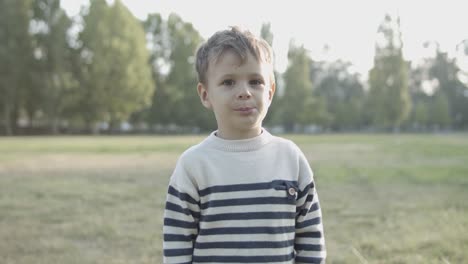 portrait of a cute caucasian boy standing in park and posing for the camera