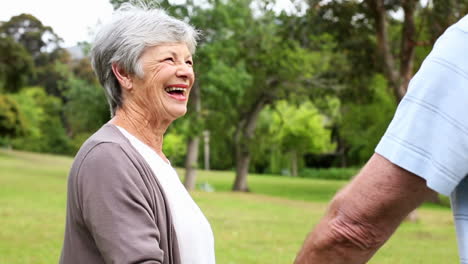 Pareja-De-Jubilados-De-Pie-Juntos-En-El-Parque