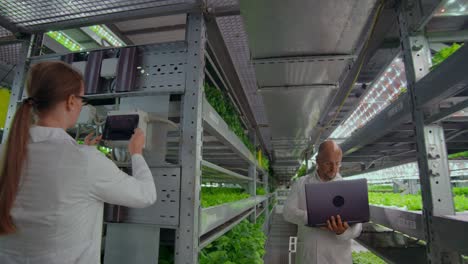 scientists in white coats with a laptop and a tablet analyzes the work of a vertical farm to grow pure unmodified products in an automated farm. the camera moves on the site on gimbal