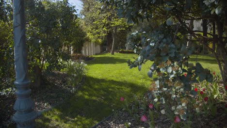 escena pacífica del jardín en un día soleado con brisa