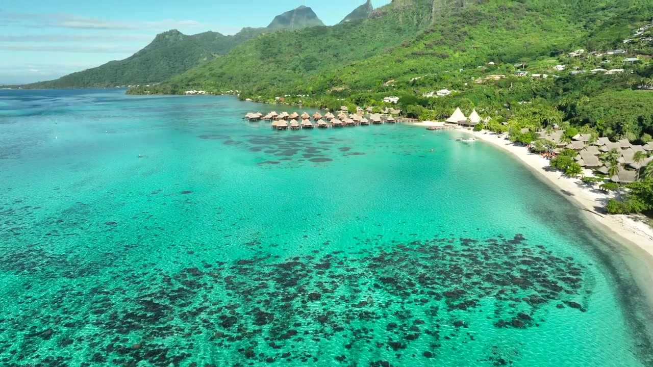 Exotic tropical beach, turquoise bay, water homes, lush landscape, Moorea, French Polynesia.