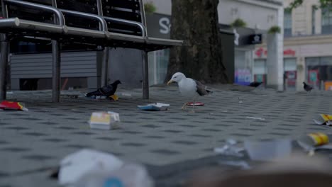 medium close-up of trash on the ground in central cardiff after a friday night