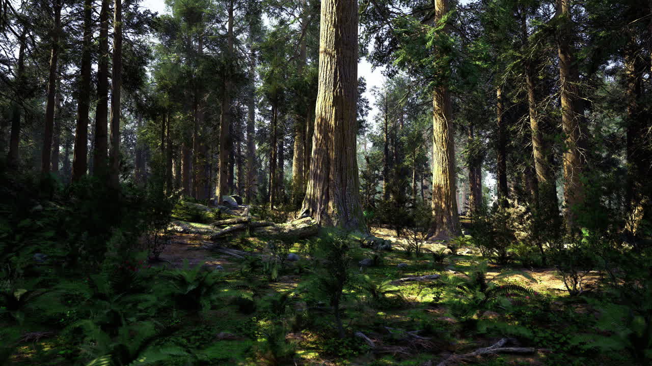 Maestoso paesaggio forestale che mette in mostra alberi ad alto fusto e un sottobosco rigoglioso