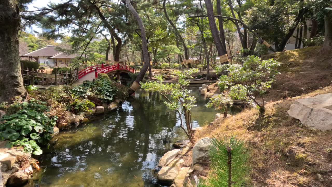 Slow pan over a serene Japanese-style garden pond
