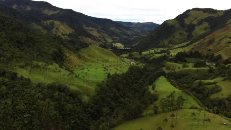 Hermoso-Paisaje-Aéreo-Del-Valle-De-Cocora-En-La-Cordillera-De-Los-Andes,-Sudamérica