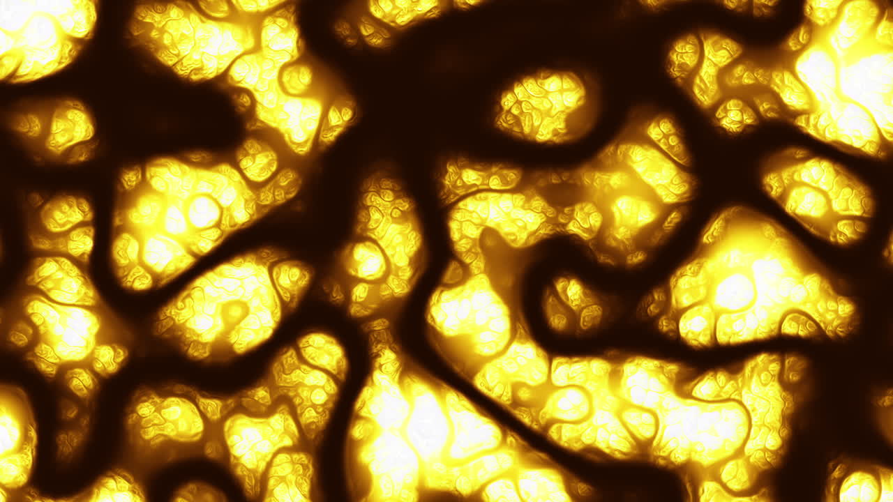 Stark yellow and black lines intersect in a dynamic, zigzag pattern on a white background in this image, creating a visually striking and engaging design