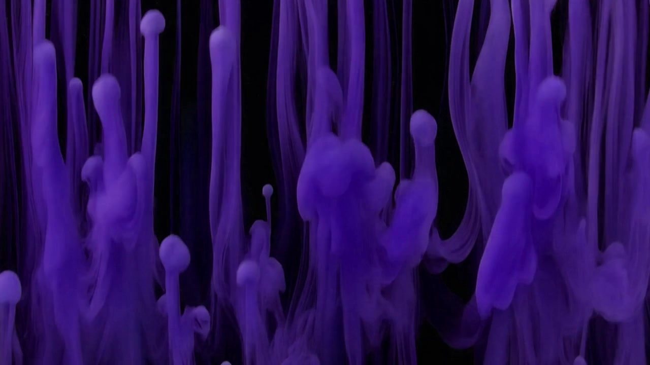 Purple Ink Droplets Rising in Water Against Black Background