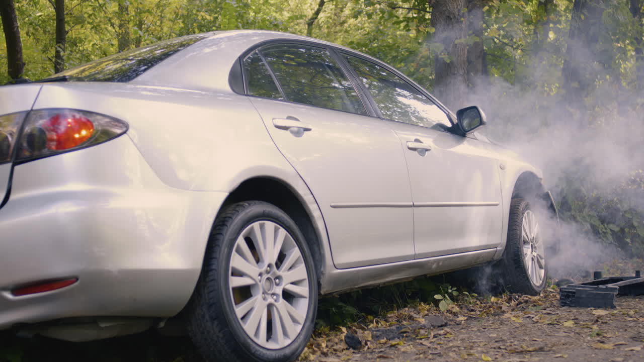 Accident on a Forest Road