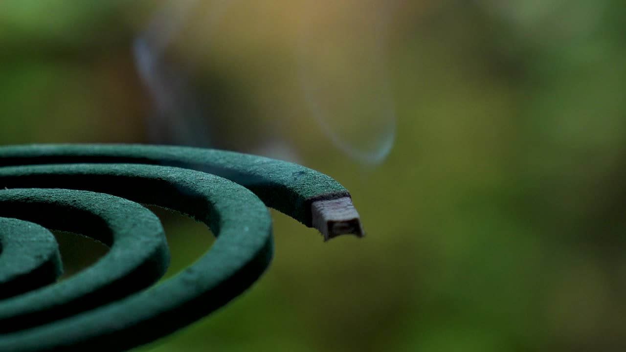 quemando una bobina de mosquito verde en una casa japonesa. video conceptual de la temporada de verano.