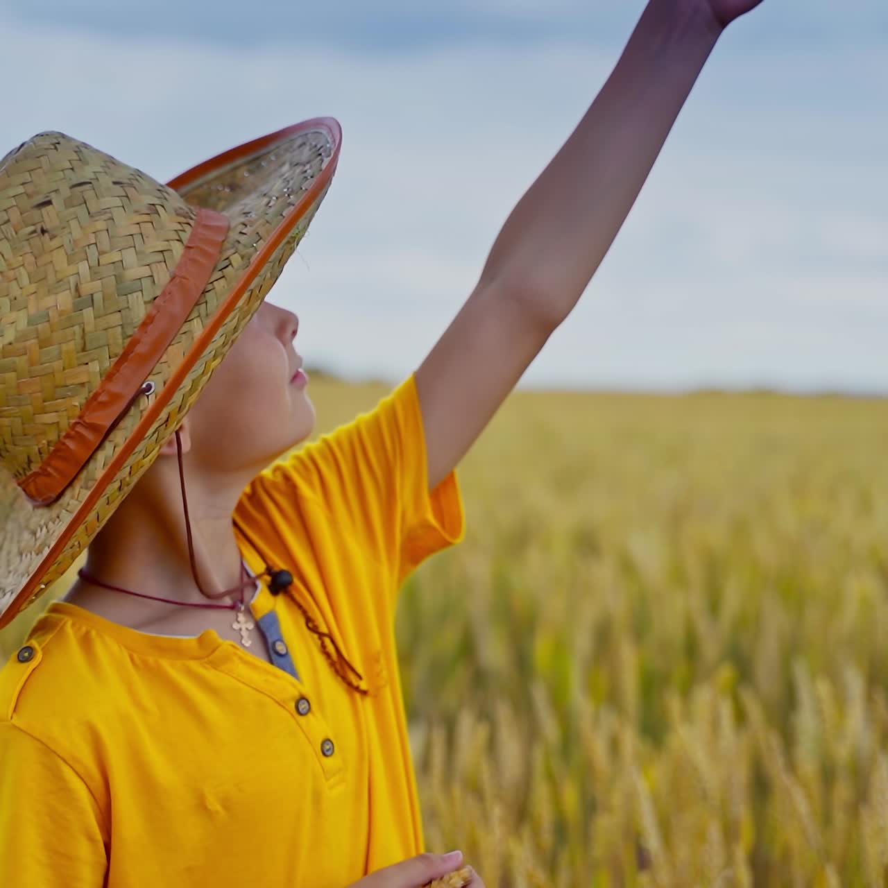 Little boy holding wheat ears in hands in a field. Kid with rye in hands. Straw hat on head. Video from a side.