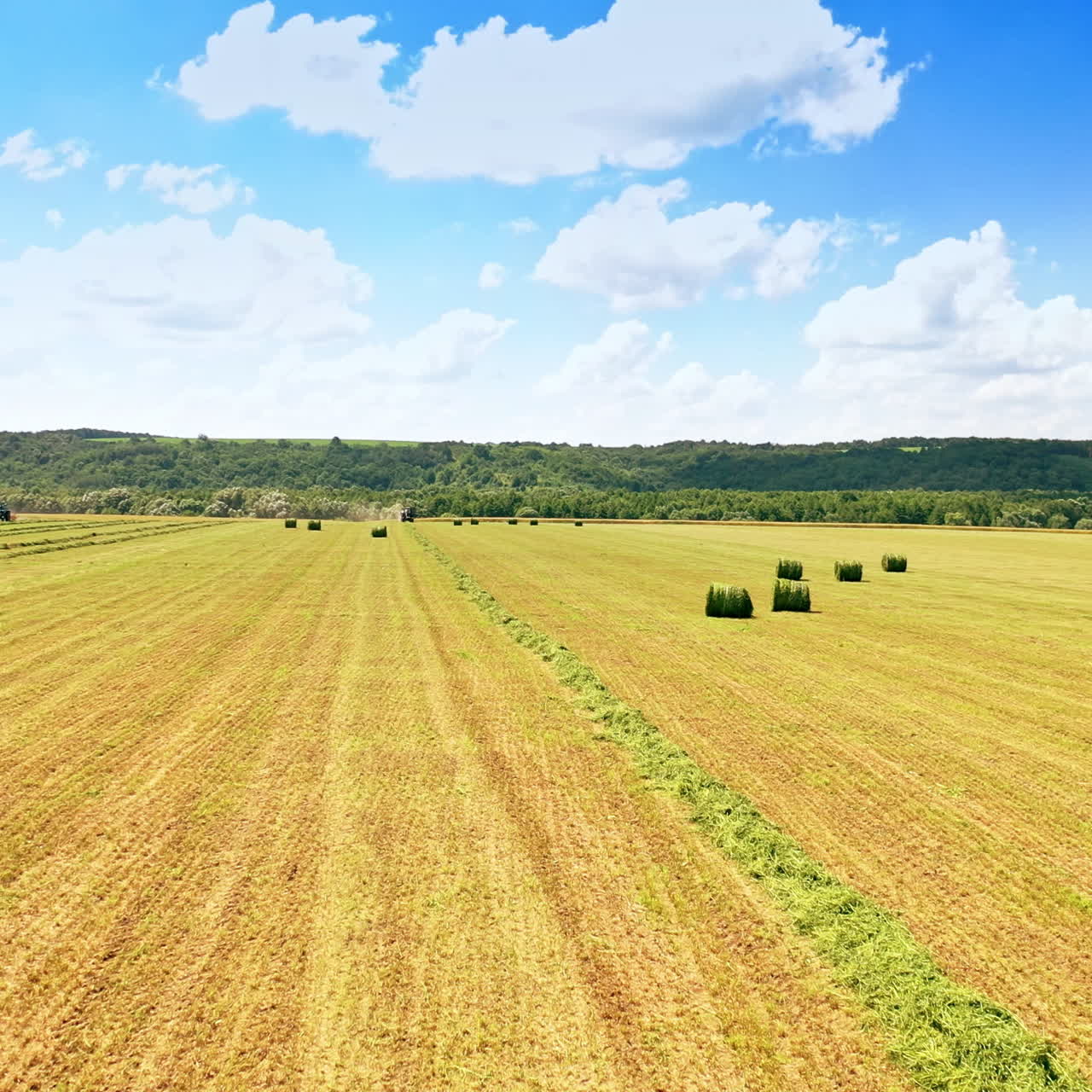 Many bales on the field background in summer. Flight over the haymaking processed into round bales during agricultural works during harvesting.