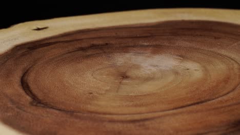 wooden circle stump trunk background from side. saw cross section cut tree wood rotation. selective focus.