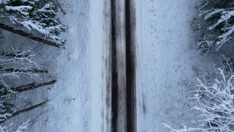 aerial top-down view, the drone takes off from countryside road showing covered with deep snow coniferous forest trees