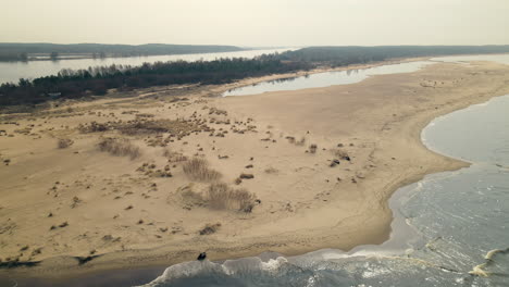 Asombrosa-Vista-Aérea-De-La-Reserva-Natural-De-Mewia-Lacha-En-La-Desembocadura-Del-Río-Vistula-En-Gdansk,-Polonia