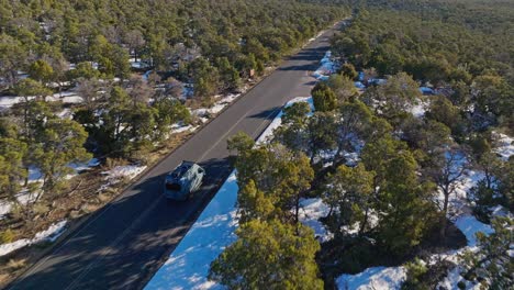 remote road in dense forest near grand canyon national park, arizona, usa