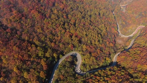 秋山的紅色曲線路