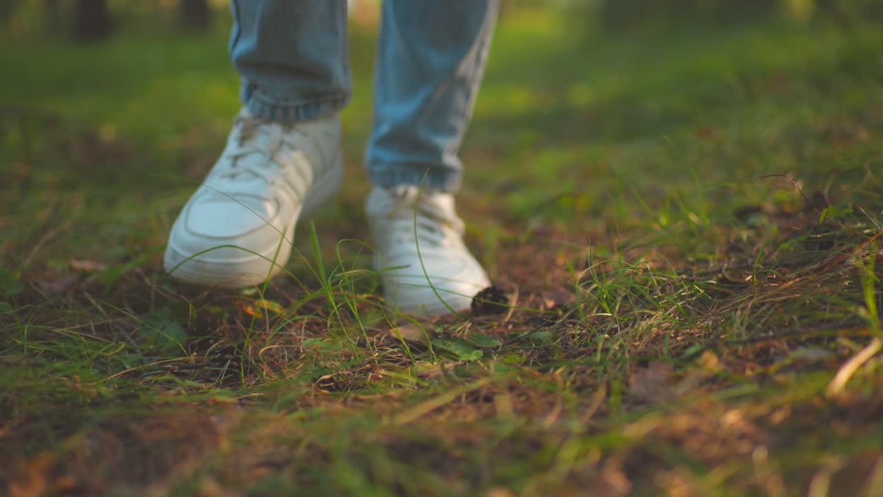primer plano de las piernas de los individuos mientras caminan por un camino de bosque exuberante, con zapatillas blancas y vaqueros azules, pisando suavemente el suelo del bosque cubierto de ramas y plantas pequeñas