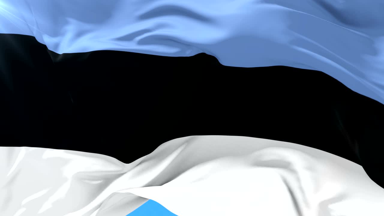 에스토니아의 발이 바람에 흔들리고 파란 하늘이 느리고 루프로