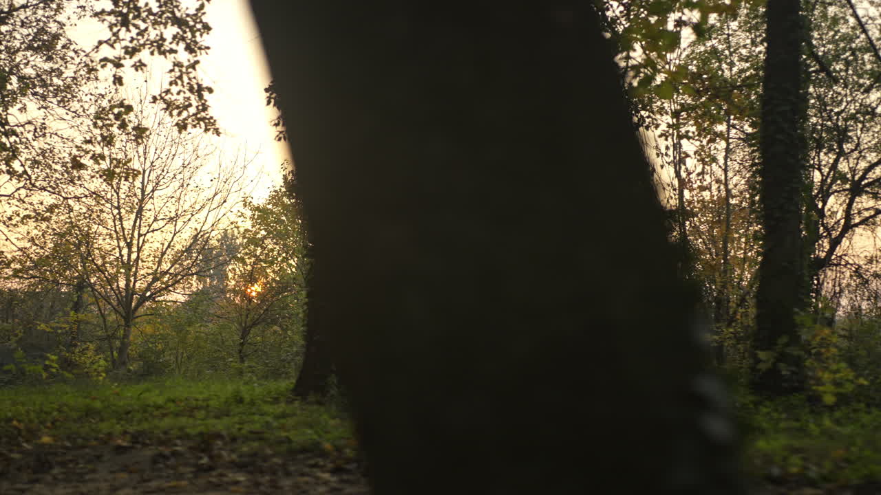 해가 지면 공원에서 달리는 여자