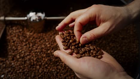 proceso de tostado de granos de café