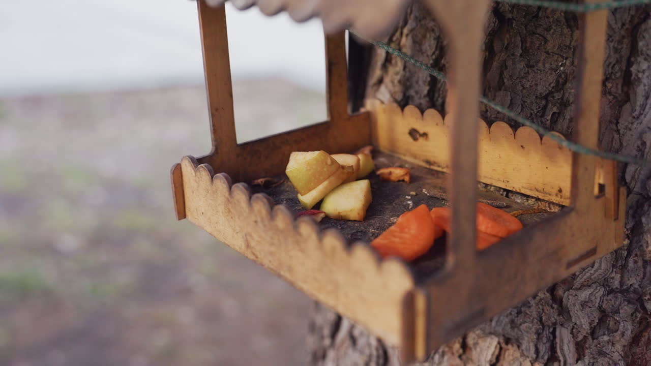 Wooden bird cage tied to tree trunk filled with sliced carrots and apple pieces, captured close up with soft focus background of blurred light and outdoor movement creating serene nature moment