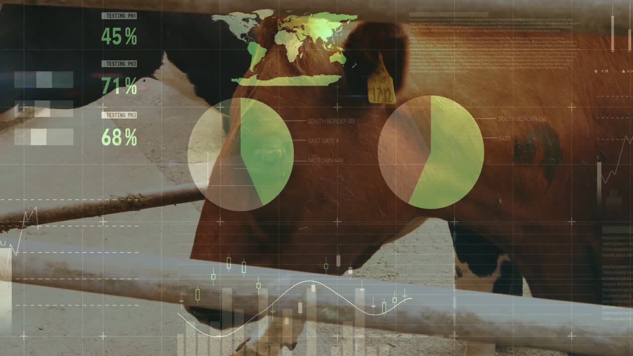 Brown and black cow moving behind fence while digital data overlays floating above pen