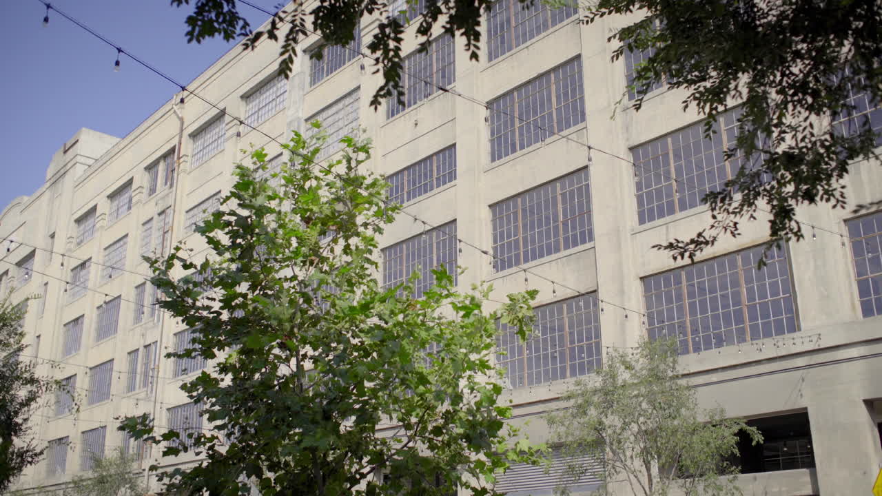 Large Urban Building with Many Windows and Trees