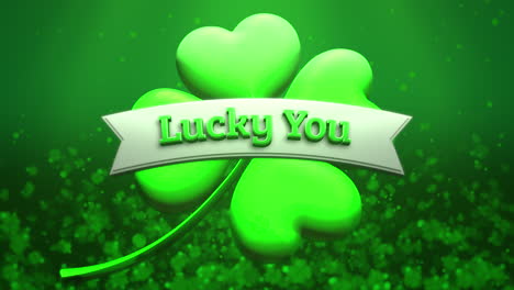 lucky you on ribbon with fly small glitters and big green shamrocks