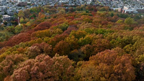 Bunte-Bäume-Und-Wälder-Grenzen-An-Die-Innenstadt