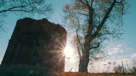 old ruined tower in a forest