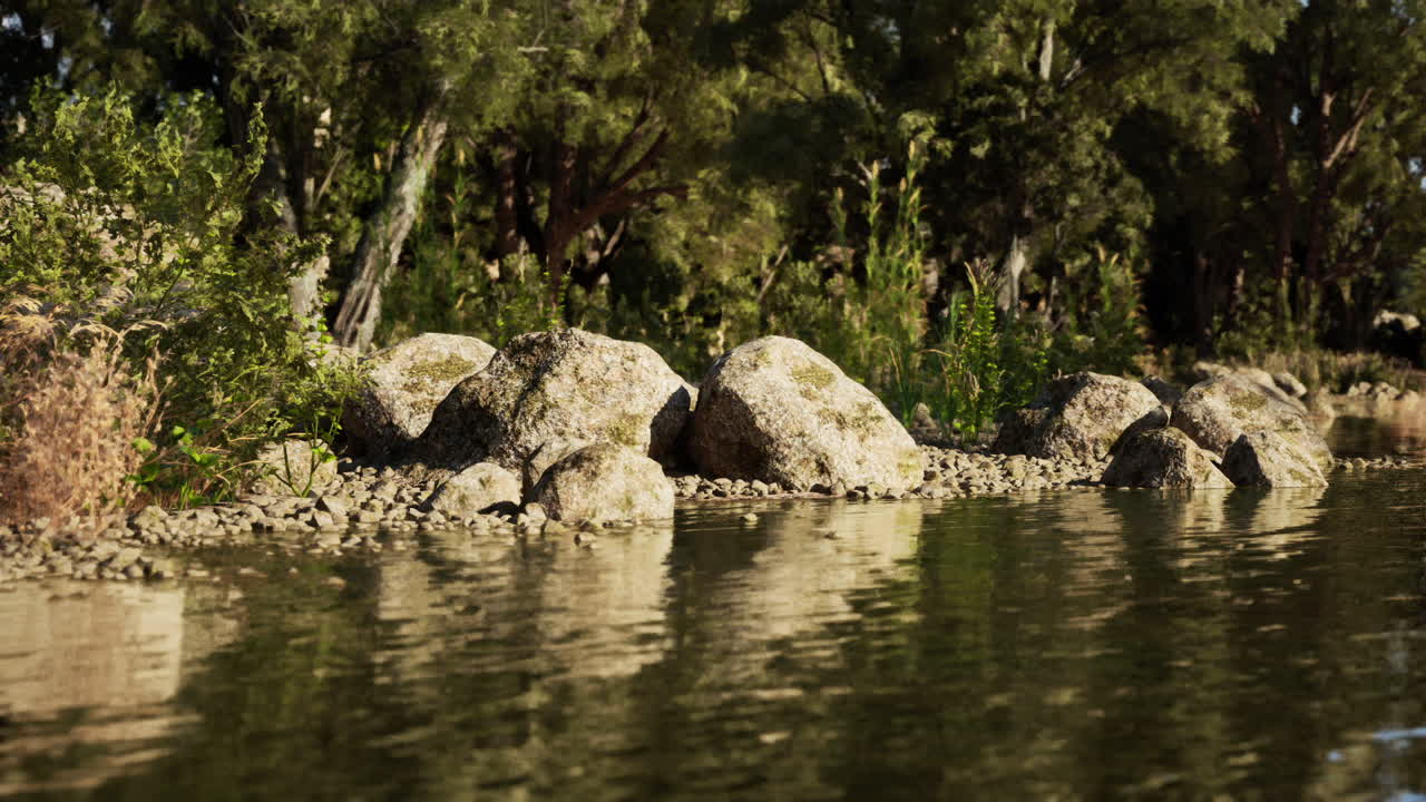 una escena pacífica del río en un bosque exuberante