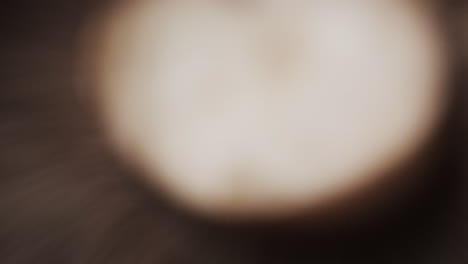 micro video of close up of mushroom with copy space