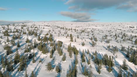 Flug-über-Einem-Wald-In-Den-Schwedischen-Bergen