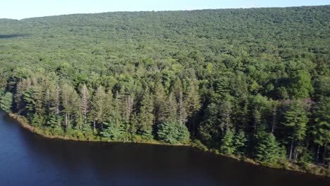 birds-eye-view-over-a-rural-forest-and-river-water