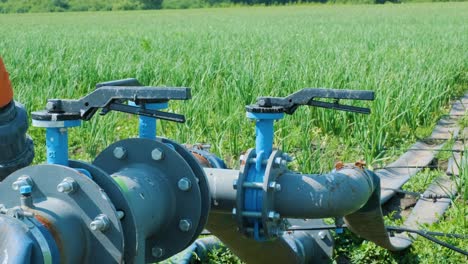 sistema de riego por goteo. sistema de riegado por goteo que ahorra agua que se utiliza en un campo de zanahorias jóvenes. trabajador abre el grifo.