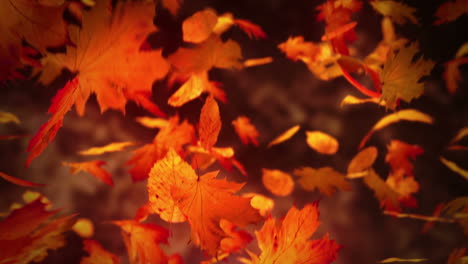 Colorful-footage-of-the-golden-autumn-parks-and-greenwoods.-Seasonal-view-of-leaves-falling-down-and-waving-on-wind-before-the-winter-comes.-Characteristical-for-September,-October-and-November.-HD