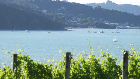 the beautiful bay islands in new zealand, perfect for sailing and paragliding - wide pan