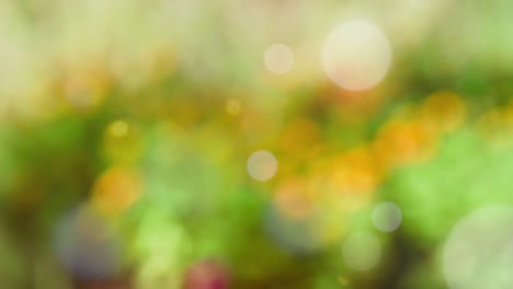 abstract spring background with bokeh