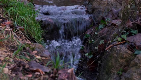 narrow stream creek cascade waterfall in woodland forest with golden brown leaves in wintery outdoorsy nature landscape