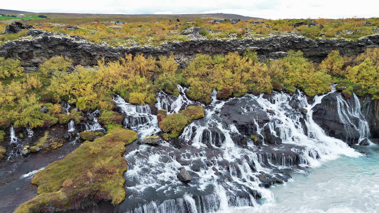Vista aerea con drone delle sporgenze rocciose di Hraunfossar, che mostra l'acqua che scorre attraverso formazioni di lava vulcanica prima di gettarsi nel fiume turchese sottostante.